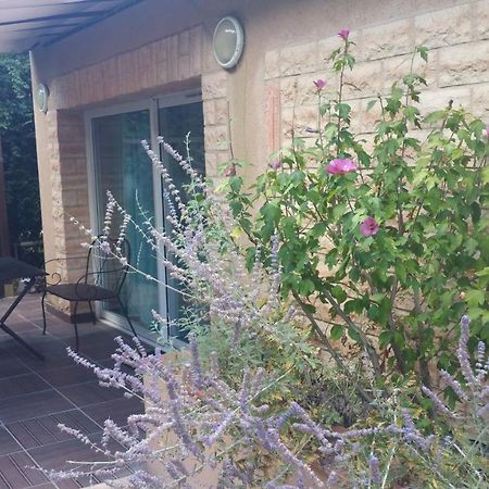 La Villa Des Violettes Toulouse Ngoại thất bức ảnh