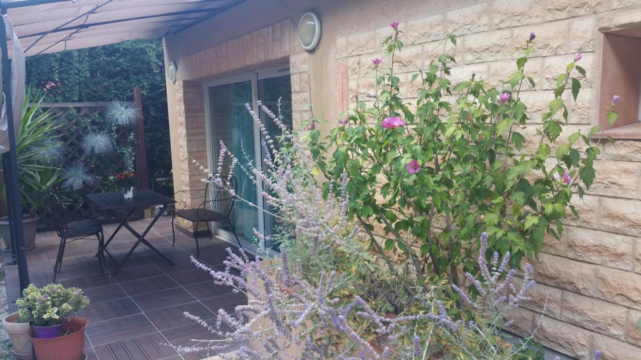 La Villa Des Violettes Toulouse Ngoại thất bức ảnh