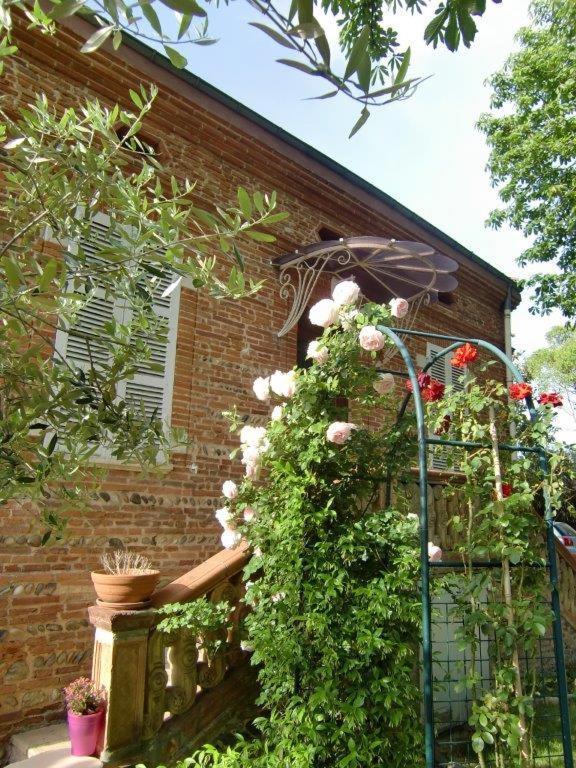 La Villa Des Violettes Toulouse Ngoại thất bức ảnh