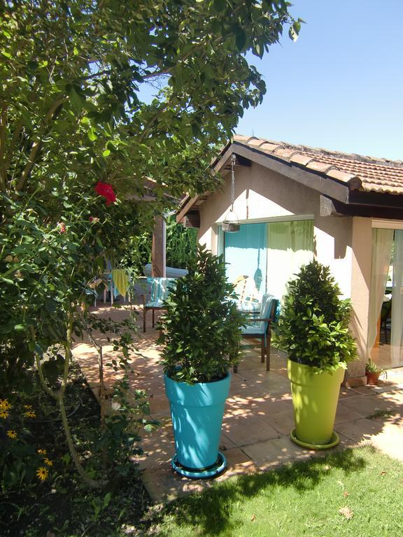 La Villa Des Violettes Toulouse Ngoại thất bức ảnh
