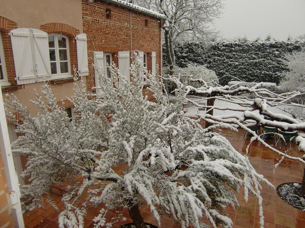 La Villa Des Violettes Toulouse Ngoại thất bức ảnh