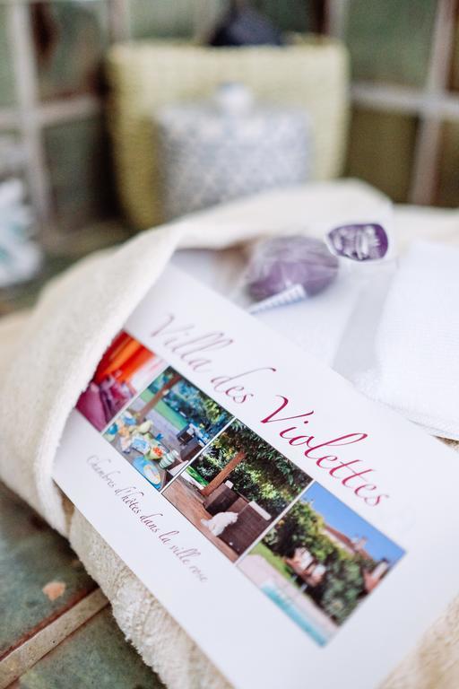 La Villa Des Violettes Toulouse Ngoại thất bức ảnh