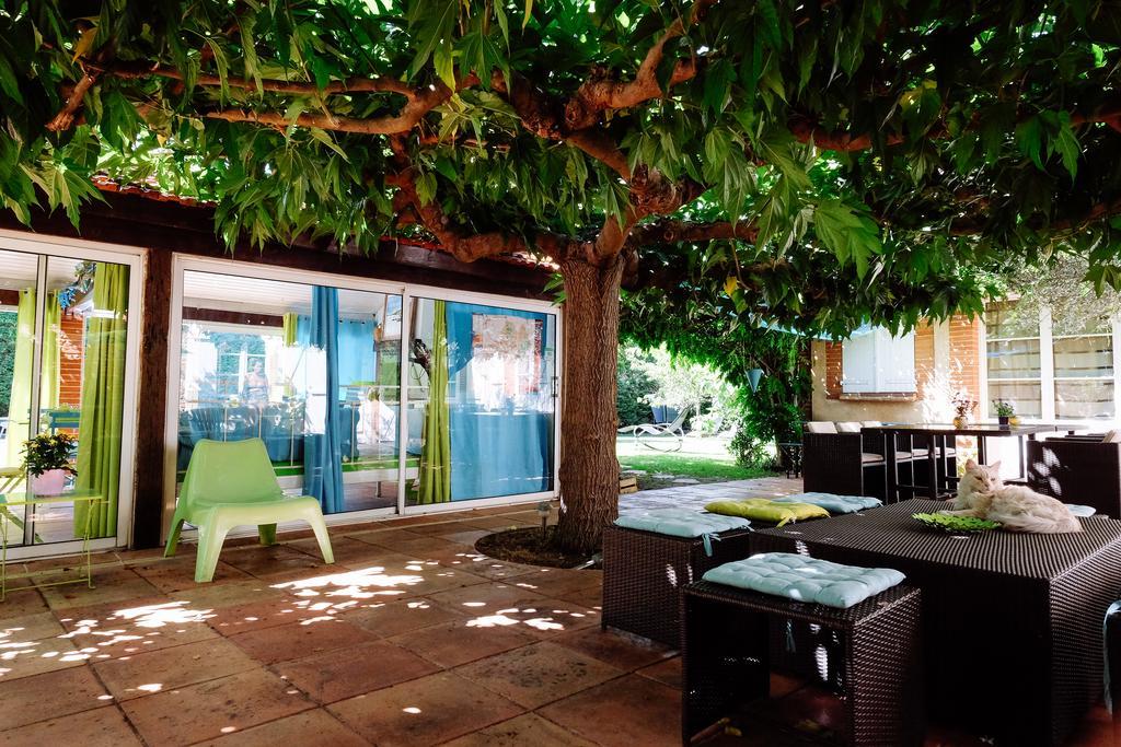 La Villa Des Violettes Toulouse Ngoại thất bức ảnh