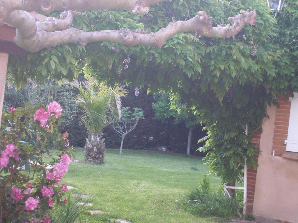 La Villa Des Violettes Toulouse Phòng bức ảnh