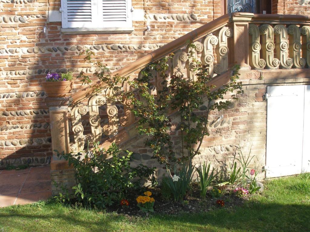 La Villa Des Violettes Toulouse Ngoại thất bức ảnh