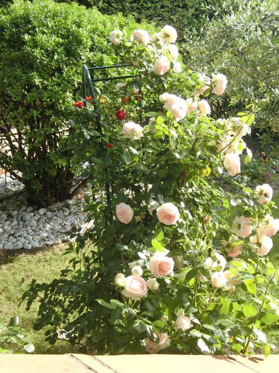 La Villa Des Violettes Toulouse Ngoại thất bức ảnh